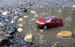 Матеріали по темі