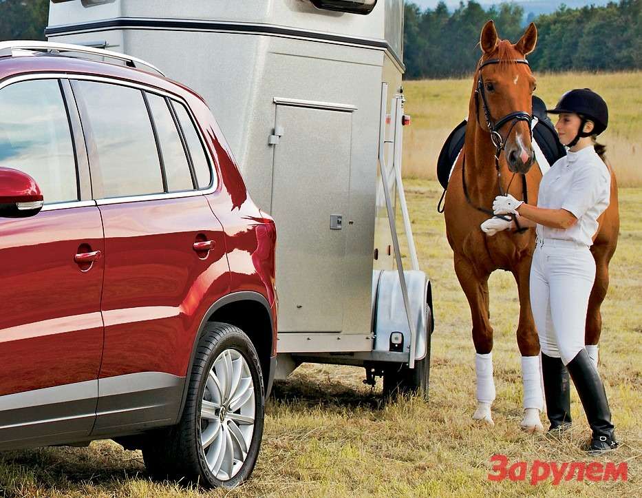 Що ж - ласкаво просимо