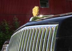 Матеріали по темі