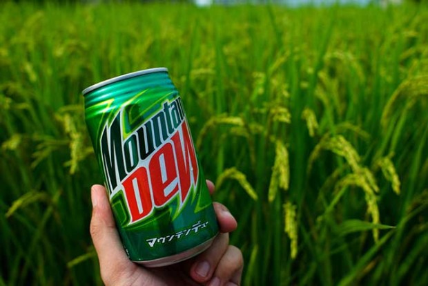 Популярний сильногазований напій «Mountain Dew», права на виробництво якого зараз належать корпорації «   PepsiCo   », В 1940-му році винайшли брати Барні і Аллі Хартман, які працювали бутіліровщікамі на одному з заводів, що розливають газовану воду