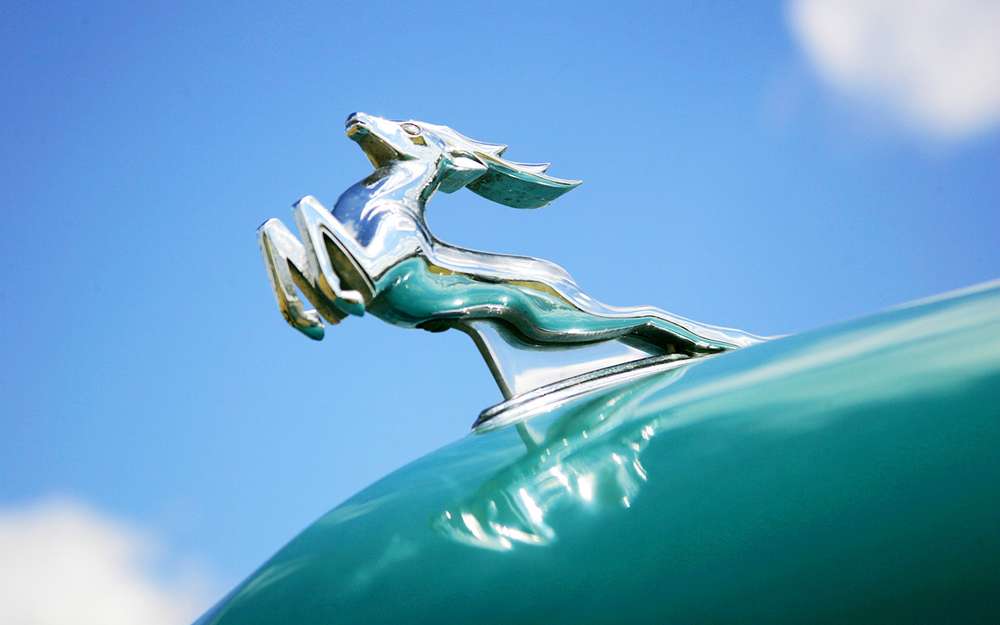 Готуються і новинки