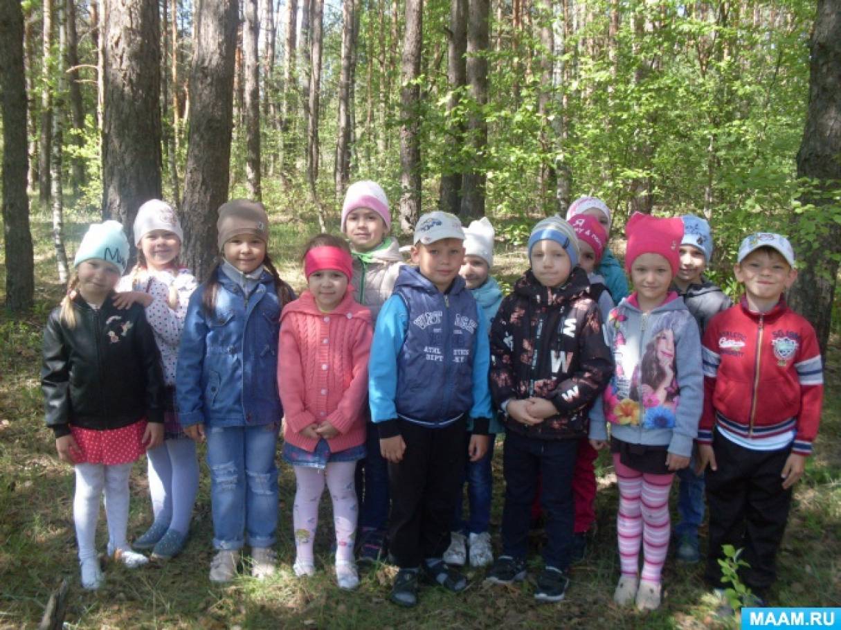 Екскурсія для дітей старшого дошкільного віку «Весняний ліс»   Мета