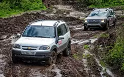 Матеріали по темі