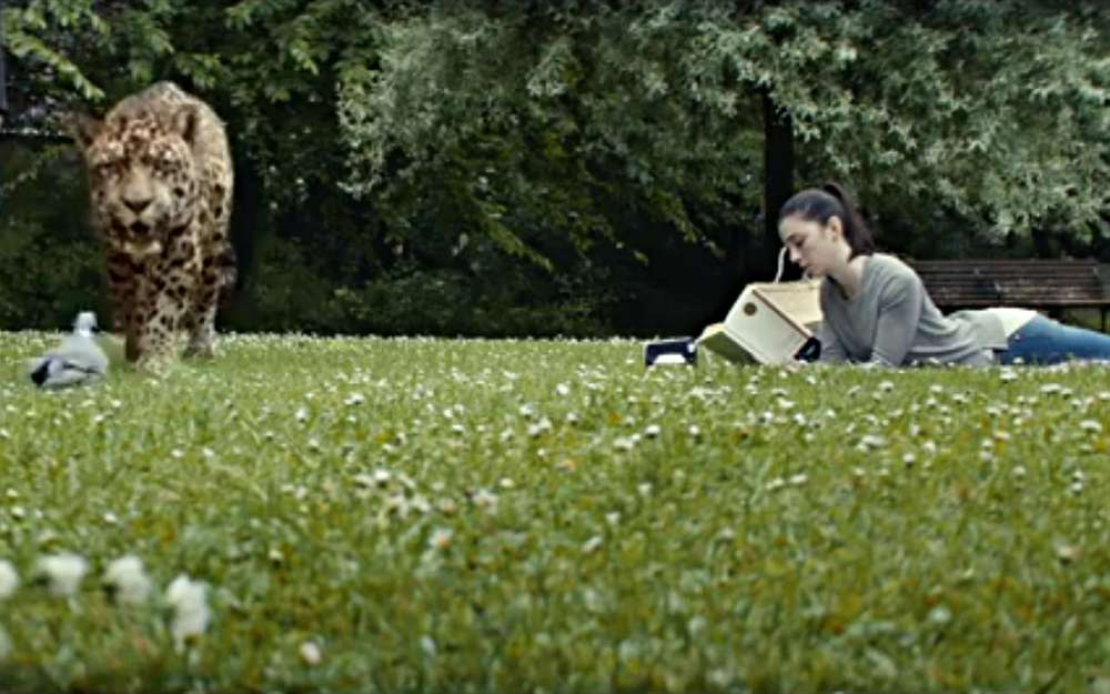 Цього року екіпаж «За кермом» взяв участь в змаганні