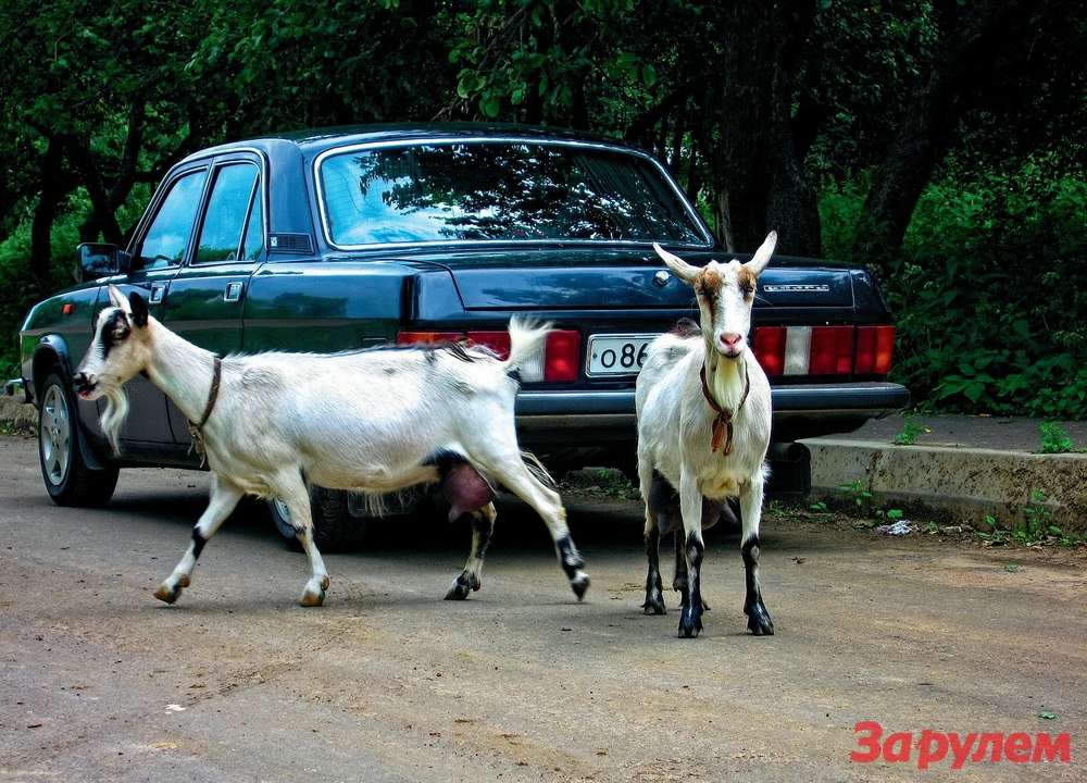 Автомобільна охоронна система з двостороннім зв'язком і автоматичним запуском двигуна SCHER-KHAN MEDIA ONE