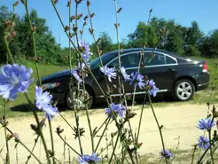 Матеріали по темі