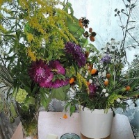 Майстер-клас «Осінній букет» з гарбуза і квітів   Майстер - клас «ОСІННІЙ БУКЕТ»