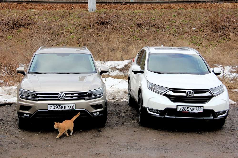 Визначено десять найбільш продаваних на вторинному ринку Росії кросоверів і позашляховиків