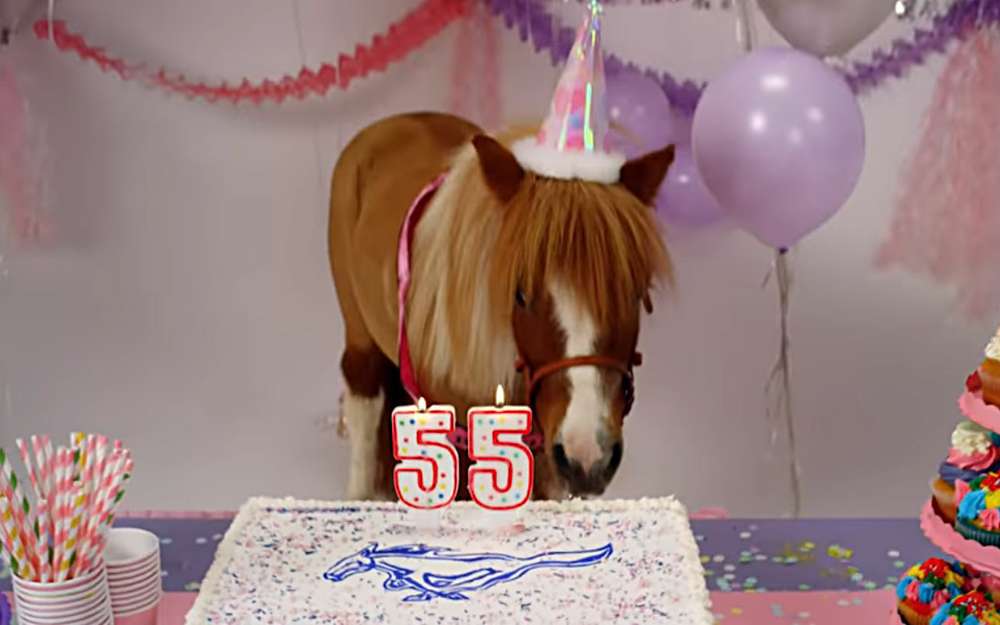 Зробити правильний вибір допомагає експерт «За кермом»