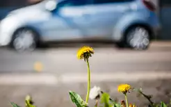 Матеріали по темі