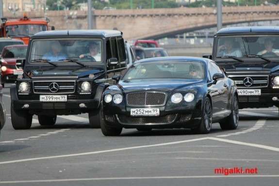 Їх господар Олександр Ерхов виявився осторонь і поліцію не зацікавив