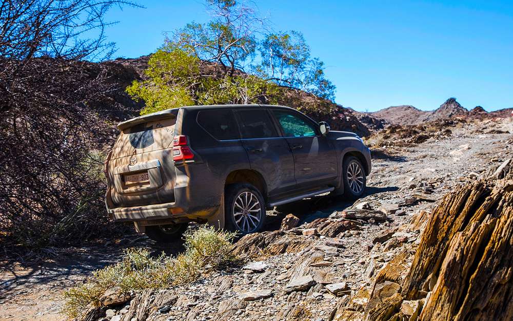 Сьогодні на тесті два дуже гідних цієї ролі брутальних претендента