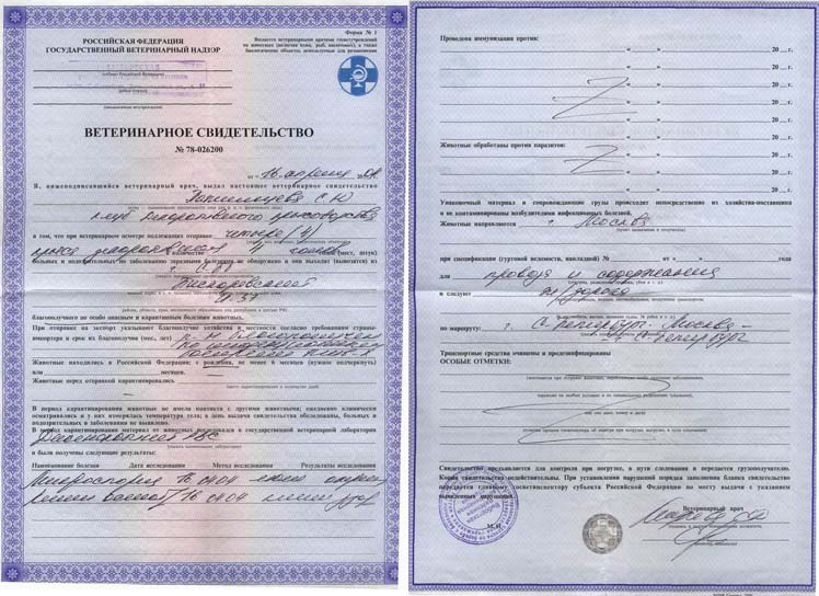 Заздалегідь запишіться на прийом і уточніть по телефону, які довідки взяти з собою і чи знадобиться особиста присутність звіра