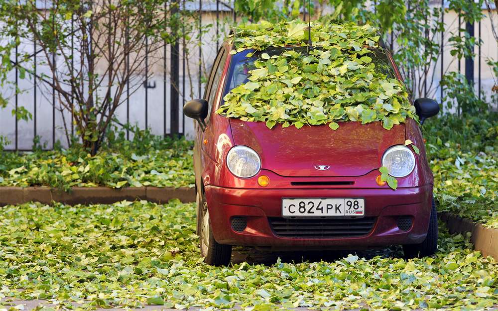 Можна навіть знайти з пробігом нижче 100 тисяч км