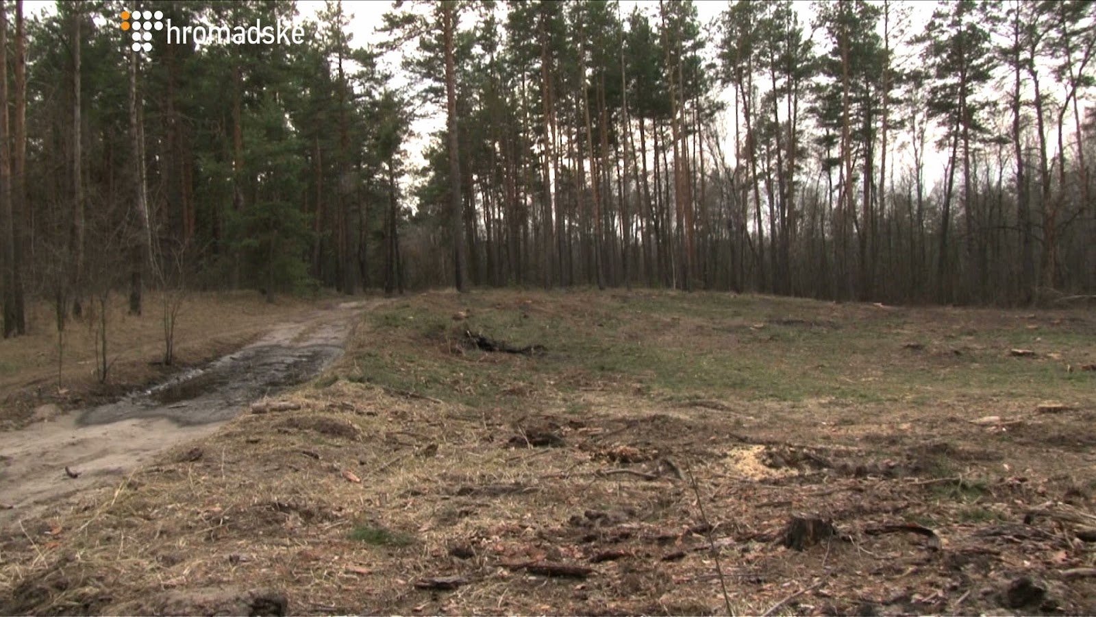 Роздача землі без детального плану - поза законом