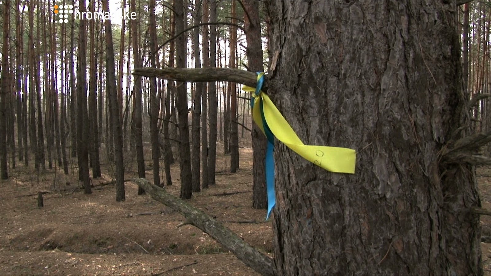 Ця земельна ділянка в Биківні, він закінчується », - додає боєць