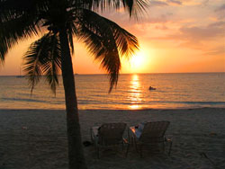 Уявіть собі мирний, екзотичний і пишний два акрів   тропічний сад   на пляжі, де можна розслабитися в гамаку в тіні кокосових пальм, фруктових дерев і всіх видів тропічних квітів, які залучають метеликів колібрі і співочих птахів