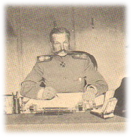 Сина - Михайла Шільдера - дійсно розстріляли (але пізніше), а дружину Анну Михайлівну засудили до заслання, де вона і померла