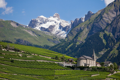 Історія створення сучасної швейцарської   грошової одиниці   сягає своїм корінням в далекий 1850 рік