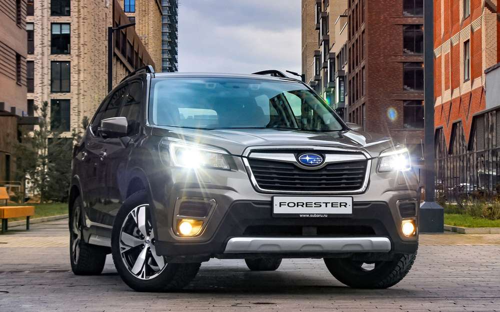 Чим він відрізняється від родича і кому адресований