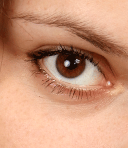 Олександр Шебанов