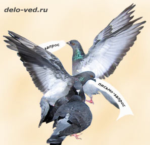 Лист-запит складається для отримання будь-якого офіційного характеру інформації або документів