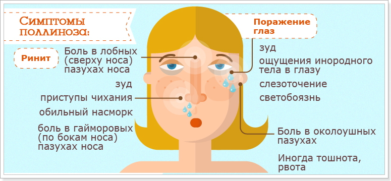 При алергії на пилок рослин у хворого спостерігаються симптоми кон'юнктивіту, озноб, запалення слизової оболонки носа і очей