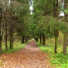 Приоратский парк - Гатчинський пейзажний парк площею 154 року