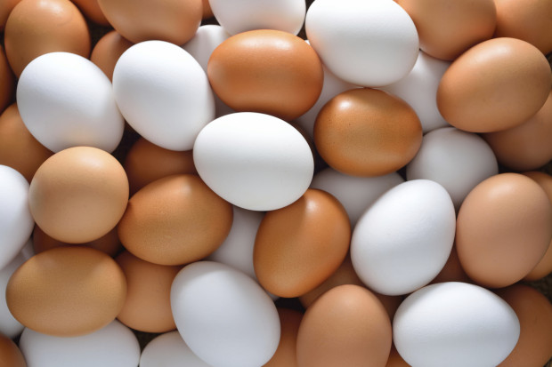 Навколо різниці між коричневими і білими яйцями ходять різні чутки