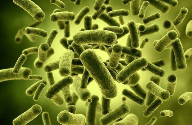 Кишкові гази неприємно пахнуть через бактерій