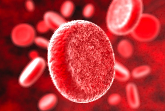 Дослідниками з Університету Вермонта в Берлінгтон було   ідентифіковано   два білка на поверхні червоних кров'яних тіл, які відповідальні за дві абсолютно нові групи крові, названі Ланжерейс (Langereis) і Джуніор (Junior)