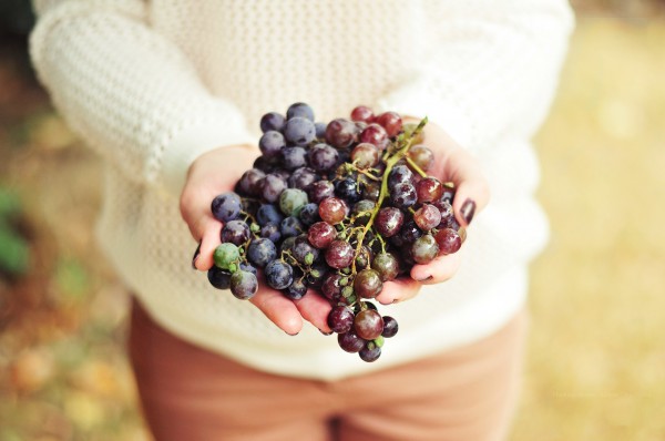 Дізнайтеся, кому не можна їсти виноград, всупереч його корисних властивостях