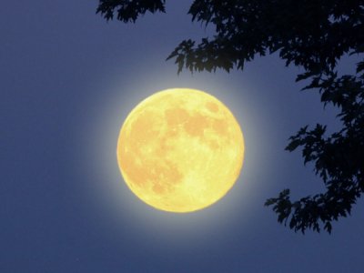 Згідно з даними фахівців, причиною згубного впливу повного місяця на дитячий сон є світло, який відображає природний супутник Землі