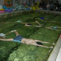 Фотозвіт про художньому плаванні «Малюнки на воді»   Вчитися плавати повинні все незалежно від віку