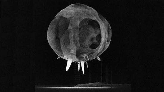 Не секрет, що в 1940-х ядерні бомби тестувалися в багатьох місцях планети
