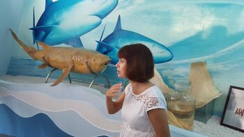 Деякі місцеві турфірми пропонують екскурсії на «Акулячу фабрику» (яку, зрозуміло, можна відвідати і самостійно) в місто Веньчан