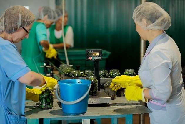 Завод з переробки овочів ТОВ «Мегаполіс» відкрився 23 червня в Червоноармійському районі   Волгограда